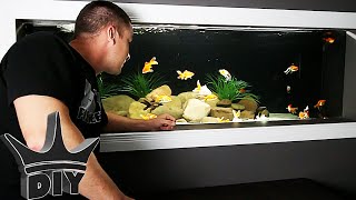 My HUGE goldfish aquarium UPDATE [upl. by Sheeree683]