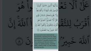 Quran  Surah AlMaidah 05 Verse 8 Mahmoud Khalil AlHussary quran husary shorts recitation [upl. by Rinaldo]