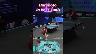 Harimoto Tomokazu in wtt Tunis 2024 pingpong tabletennis bestpointsshorts [upl. by Osmo]