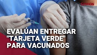 Coronavirus en Perú Evalúan entrega de “Tarjeta verde” a vacunados para acceder a servicios [upl. by Anawt830]