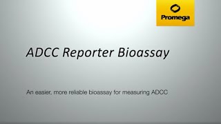 ADCC Reporter Bioassay  Cells as Critical Reagents [upl. by Krum]