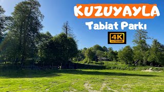 KUZUYAYLA TABİAT PARKI KartepeKocaeli I Kamp Alanı  Piknik ve Yürüyüş [upl. by Solokin]