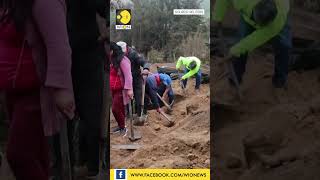 Landslide hits Ecuadors Andean region I WION Shorts [upl. by Suehtomit146]