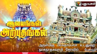 Naganathaswami Temple Peraiyur  Aalayangal Arputhangal  18032016  Puthuyugam TV [upl. by Lonergan]