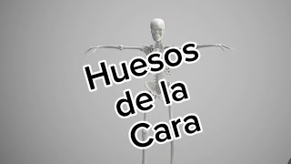 Huesos de la cara [upl. by Bonita]