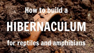 How to build a hibernaculum for reptiles and amphibians [upl. by Honor]