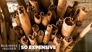 Why Ceylon Cinnamon Is So Expensive  So Expensive [upl. by Abbub]