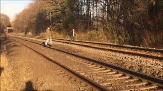 Trespasser Gets Funny With Me Moments Before Train Passes [upl. by Ellehsor]