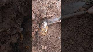 Big Treasure Hunt  GOLD  With Metal Detecting findgold shortsvideo [upl. by Ylluz]