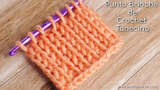 Punto Tunecino Brioche de Crochet Tunecino  Aprende Crochet Tunecino Paso a Paso [upl. by Hoopen465]