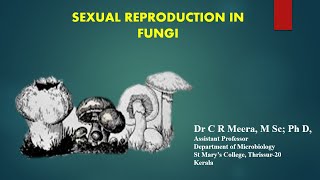 Sexual Reproduction in Fungi  Dr C R Meera M Sc Ph D [upl. by Lugo]