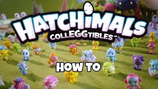 Hatchimals Colleggtibles  How To Video [upl. by Dupre]