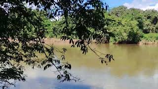 Terreno à venda no município de Flores de Goiás na beira do rio Paraná [upl. by Simeon]