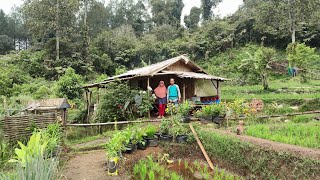 Nekad  Pasutri Pemberani Tinggal Di Rumah Terpencil Di Puncak Gunung Di Kelilingi Hutan Lebat [upl. by Smart]