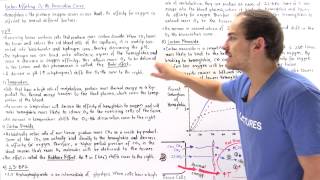 Factors Affecting Hemoglobin Dissociation Curve [upl. by Gearhart]