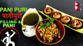 PANI PURI पानीपुरी  Pani and Filling For PANIPURI  How to make Pani Puri 🍴 37 [upl. by Nedrob]