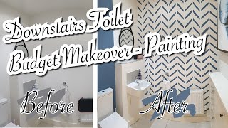 Downstairs Toilet  Budget Makeover  Painting Under £13 [upl. by Hanley]