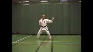 03 KATA SHORINRYU Matsubayashi Naihanchi Nidan [upl. by Atnamas]