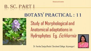 Study of Hydrophytes eg Eichhornia [upl. by Claudelle162]