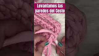 Levantamos las Paredes internas del CESTO Trapillo al Crochet [upl. by Peggir978]