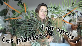 Jai tué presque toutes ces plantes [upl. by Malone]