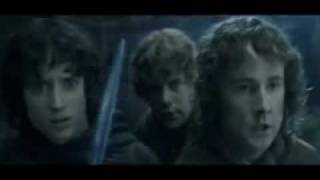 Lord of the Rings  Fellowship of the Vuvuzela Portuguese Subs [upl. by Eserahs]