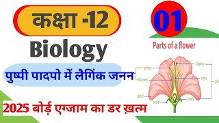 पुष्पी पौधो मे जनन  Reproduction in flowering plants angiosperm plant  class 12 Biology in hindi [upl. by Hserus]