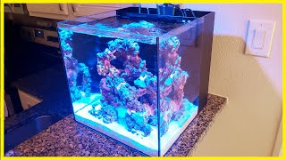 Step 2  Adding Water to the ZoanthidOnly Nano Reef [upl. by Dalton]