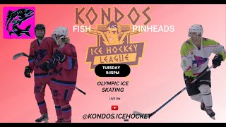 Pinheads Vs Trouts Kondos Ice Hockey League Australia [upl. by Eitsud280]