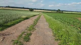 The Battle of Marston Moor 2nd July 1644 [upl. by Lokkin]