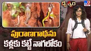 Drishyam  పురాణగాథను కళ్లకు కట్టే నాగలోకం  TV9 [upl. by Ariamoy]