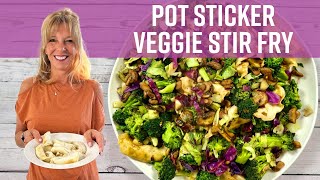 Potsticker Vegetable Stir Fry  Kathys Vegan Kitchen [upl. by Swetiana]