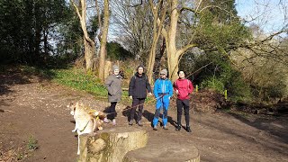 Boxhill Dorking Spring season Beautiful viewpoint 1st long hike in the UK [upl. by Aggappera]