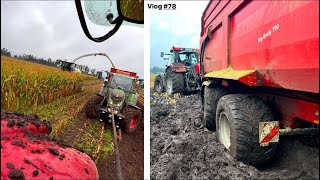 Es wird NASS  Schlammschlacht im Mais  Farmvlog 78 [upl. by Good]