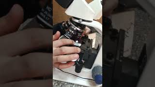 how to use microscope for histopathology exam [upl. by Nesline]