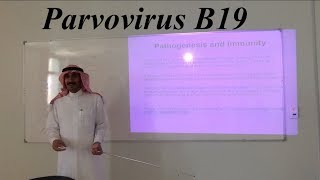 Parvoviruses and Parvovirus B19 [upl. by Norre]