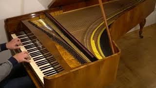 Schubert Ungarische Melodie D 817 Fortepiano Johann Schanz [upl. by Kean]