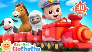 Animales en el Chu Chu Tren  Sonidos de Animales  LiaChaCha en Español  Canciones Infantiles [upl. by Anaerol]