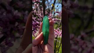 Chrysoprase Spiritual Meanings  Crystal for Compassion amp Mother Earth 🔮🌎 [upl. by Wack]