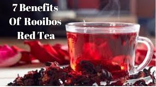 7 Benefits Of Rooibos Red Tea [upl. by Irb699]