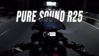 TOP SPEED amp PURE SOUND YAMAHA R25 [upl. by Eima]