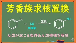 【大学有機化学】芳香族求核置換反応をわかりやすく解説～典型例＆ザンドマイヤー反応～ [upl. by Constantina]