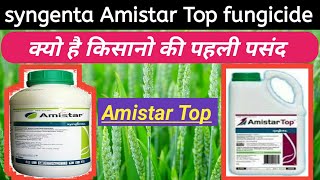 Amistar top fungicide syngenta india  full information hindi  azcosytrobin  defenconazole [upl. by Siari]