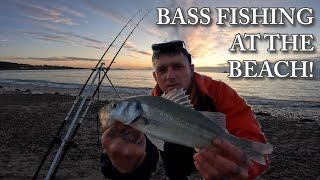 Bass Fishing Extravaganza  Target Fish Bass And Gilthead Bream  Sea Fishing UK [upl. by Assirok]