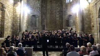 Cardoso  Introitus requiem [upl. by Francyne]