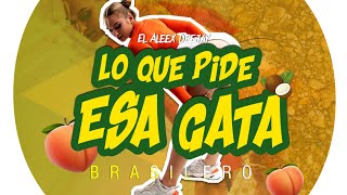 Lo Que Pide Esa Gata 1 🇧🇷🍑 Brasilero El Aleex Deejay⚡ [upl. by Aelegna]