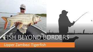 Upper Zambezi Tigerfish [upl. by Faxen]