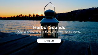 Harbor Sounds with Seagulls Foghorn Buoy Bell Crashing Waves  10 Hours [upl. by Idnar937]