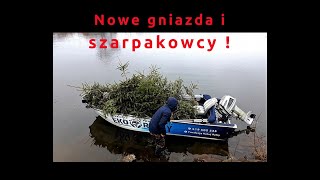 Nowe gniazda i Szarpakowcy PORT POZNAŃ 2020 [upl. by Farrand]