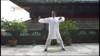 Wudang Five Animal Qigong 氣功 Qigong for Health [upl. by Nosneb]